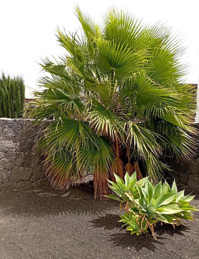 Villa Fortuna Playa Blanca  Exteriör bild